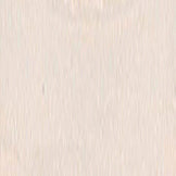 Acute Pair Single Vision Half Frame
